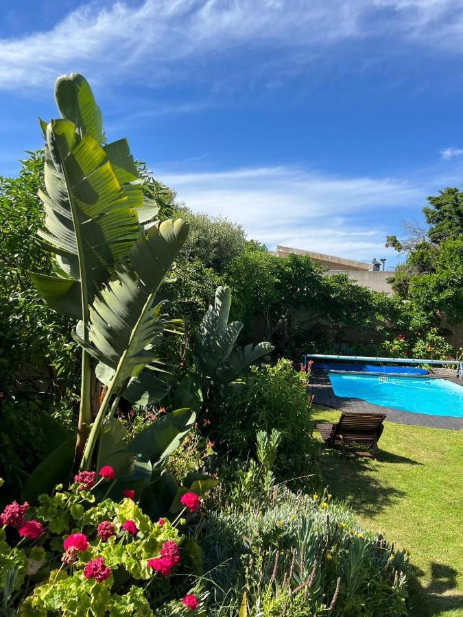 Sunset Beach Living Guesthouse Κέιπ Τάουν Εξωτερικό φωτογραφία