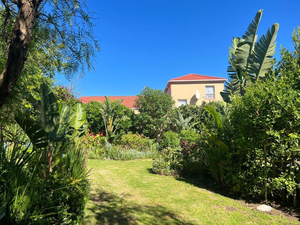 Sunset Beach Living Guesthouse Κέιπ Τάουν Εξωτερικό φωτογραφία